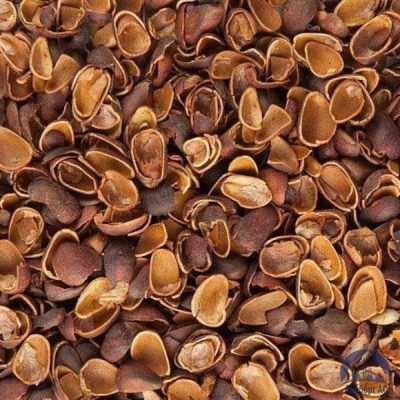 Скорлупа Кедрового Ореха (Barus Nut Shell) купить  в Чите